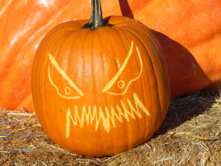 Mean Eyes, Nipomo Pumpkin Patch best carving idea